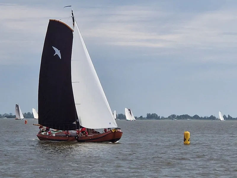 Ierdswel Met Gele Boei
